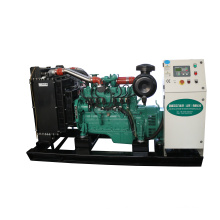 Open Frame 100% Copper Wire Brushless Home Genset Natural Gas